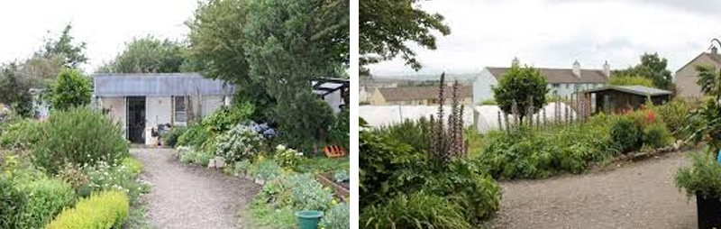 CROP Gardens